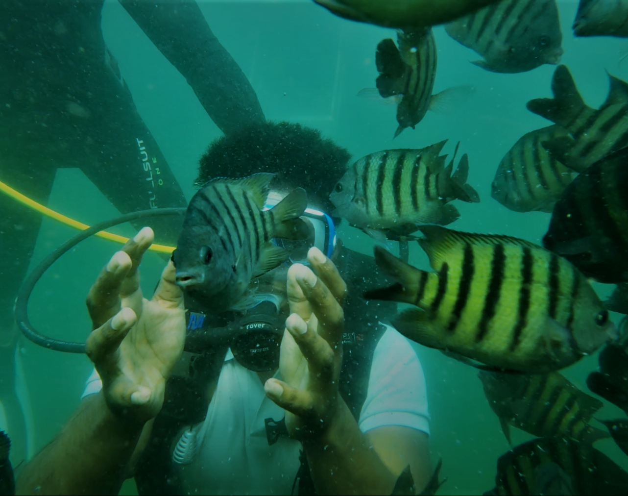 Konkan scuba diving in Devbaug