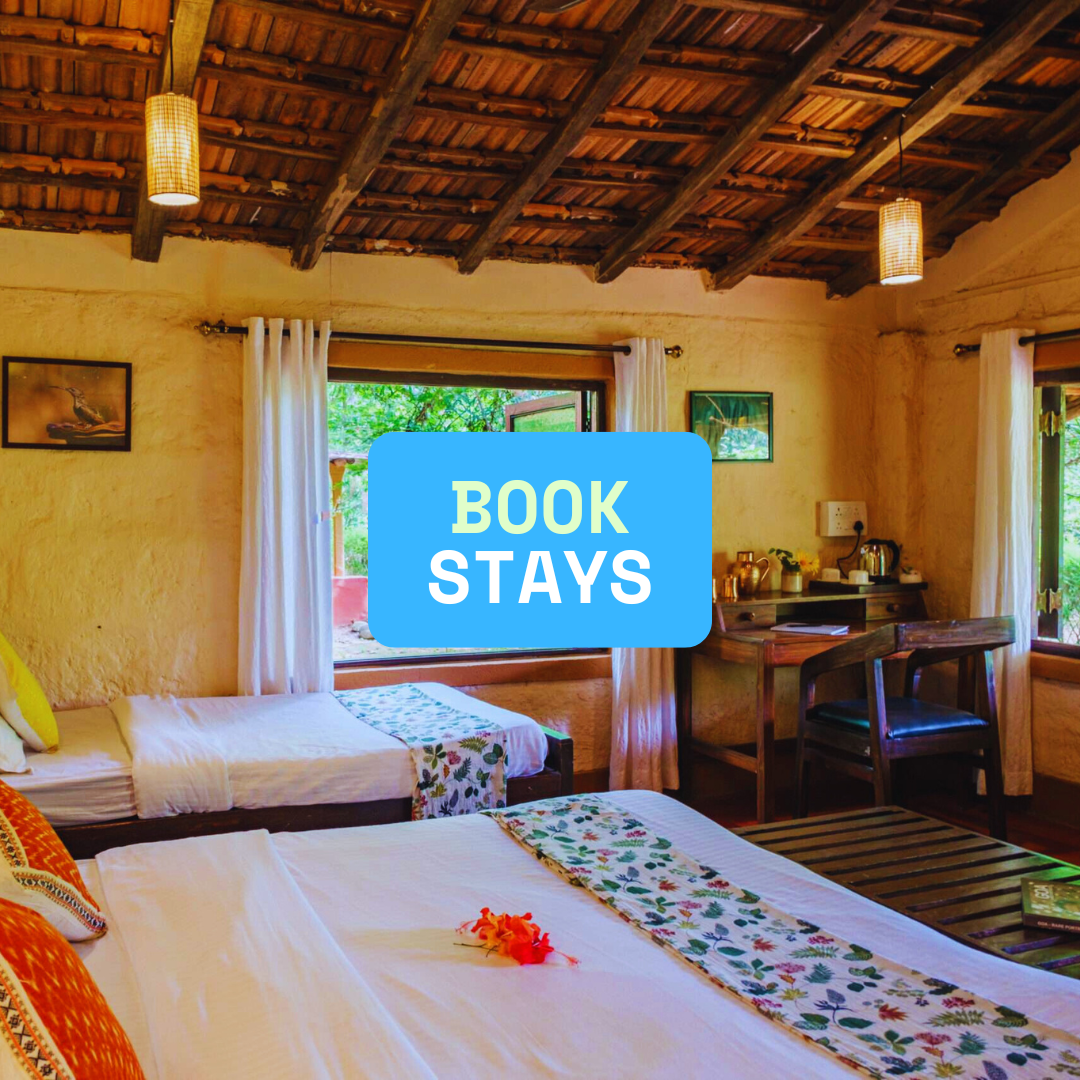 Offbeat Hidden Konkan Tour Packages for Travelers 101 1