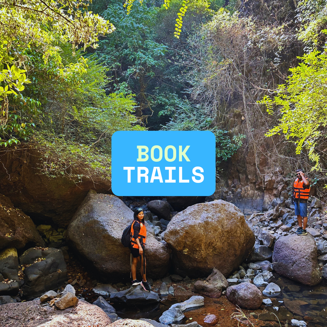 Offbeat Hidden Konkan Tour Packages for Travelers 99 4