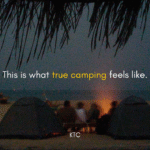 Hidden turtle beach camp Konkan