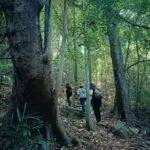 Tambdisurla Waterfall Trek