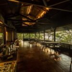 Wildernest dining