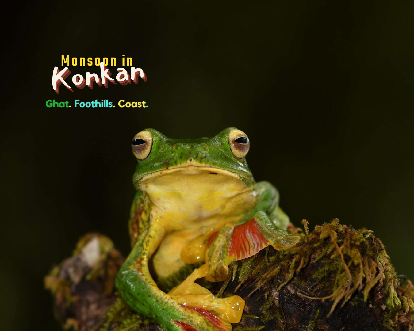 Website cover 2