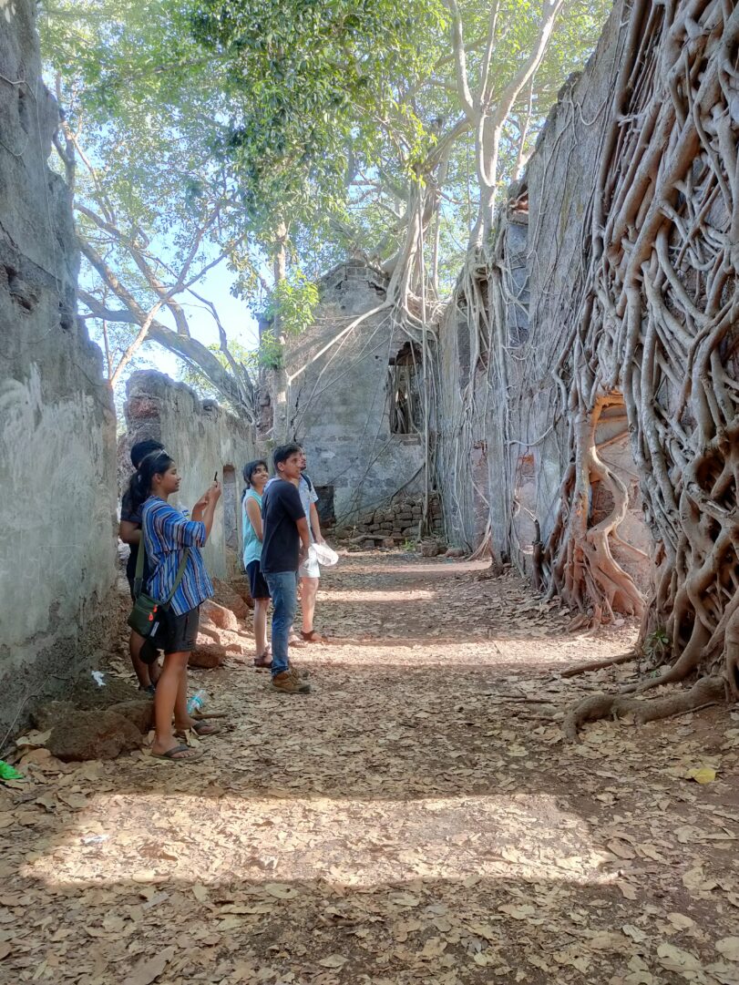 Fort Trail