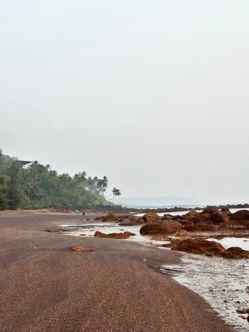 Black Sand Pebble Beach Trail | Vengurla Sindhudurg 4 black pebble beach crab
