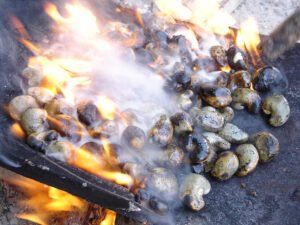 Cashew roasting trad 3