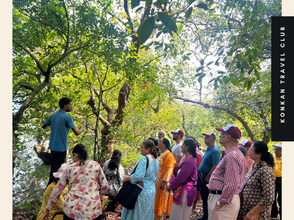 Look Beyond Malvan. South Konkan Is Bigger Than One Destination. 3 The Kokum Harvest Trail