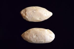 Muthla scaled 1