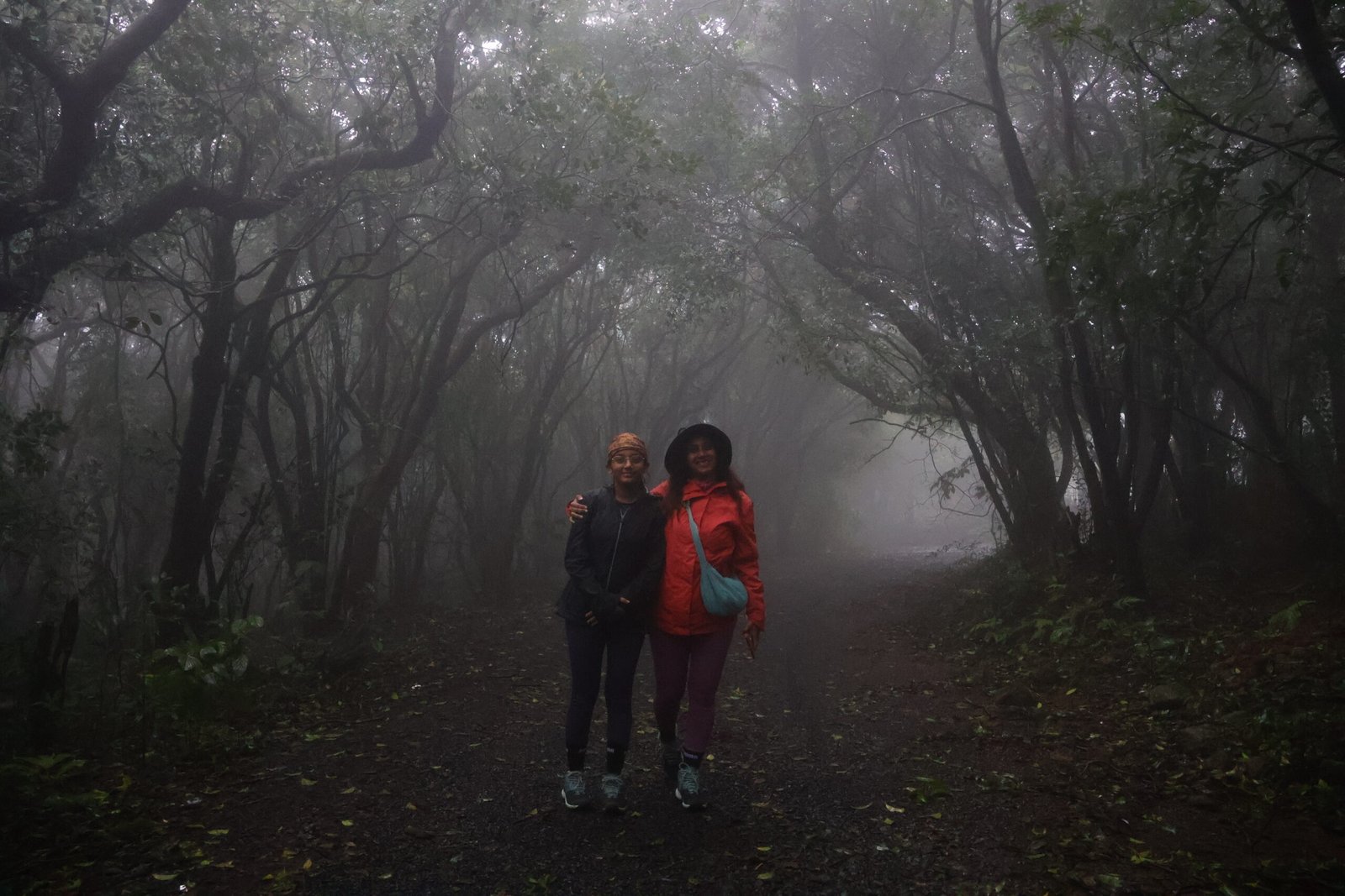 Herping Night Trail in Amboli & Surla | Night Wildlife Walk | Konkan Travel Club 5 IMG_5026 (1)