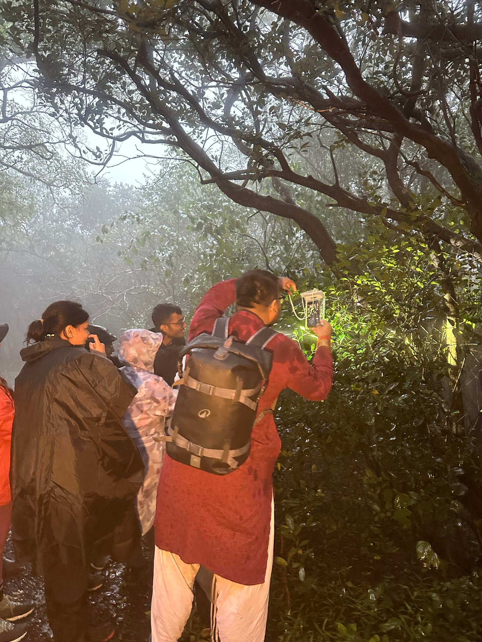 Herping Night Trail in Amboli & Surla | Night Wildlife Walk | Konkan Travel Club 9 IMG_9867