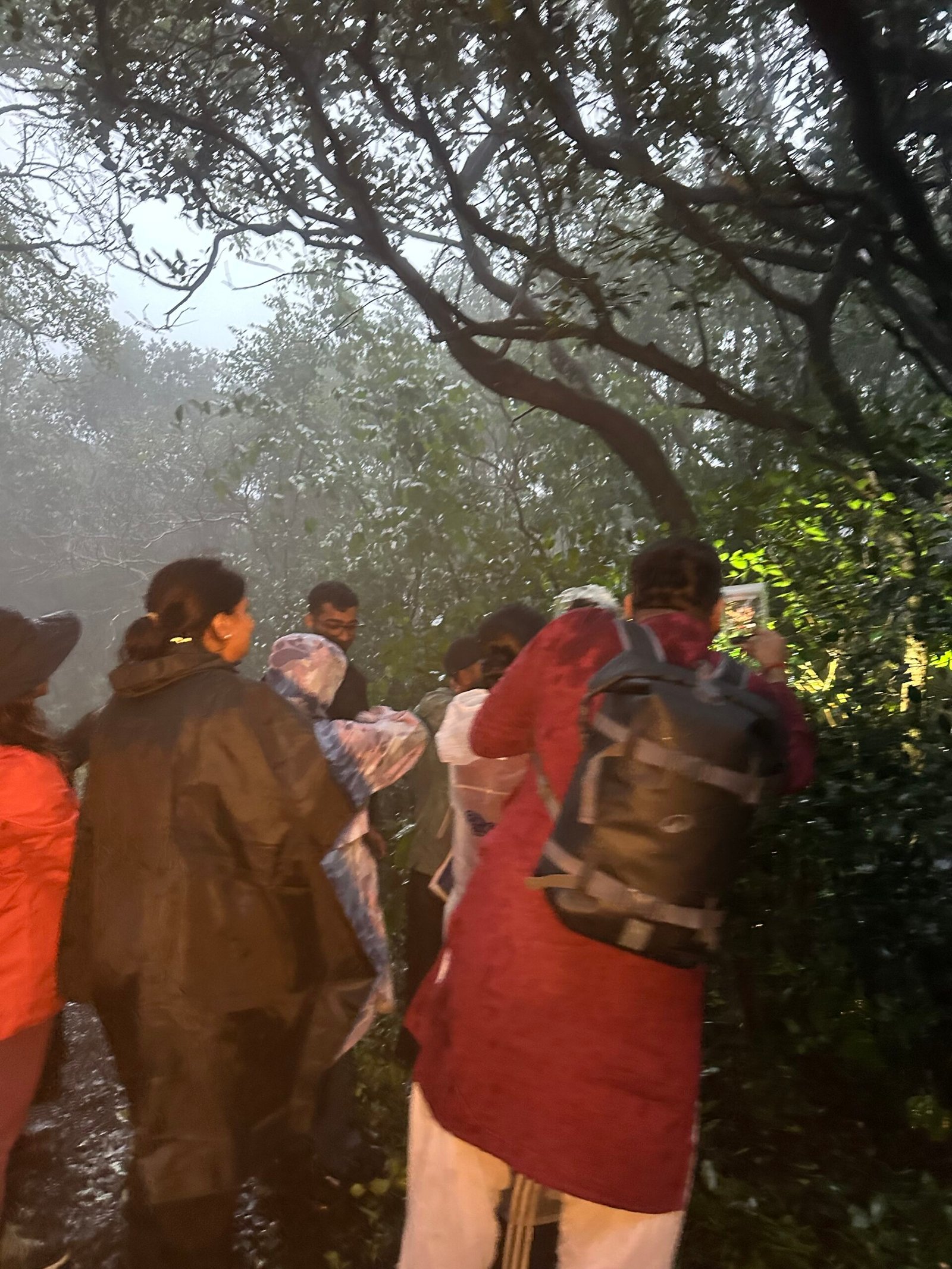 Herping Night Trail in Amboli & Surla | Night Wildlife Walk | Konkan Travel Club 8 IMG_9868