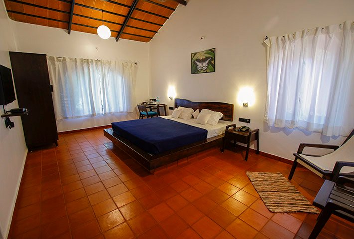 Whistling Woods | Rainforest Stay in the Western Ghats | Amboli, Sindhudurg 20 P2A9026_1-4