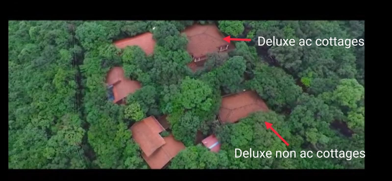 Whistling Woods | Rainforest Stay in the Western Ghats | Amboli, Sindhudurg 3 WhatsApp Image 2026-08-04 at 7.32.48 PM (1)