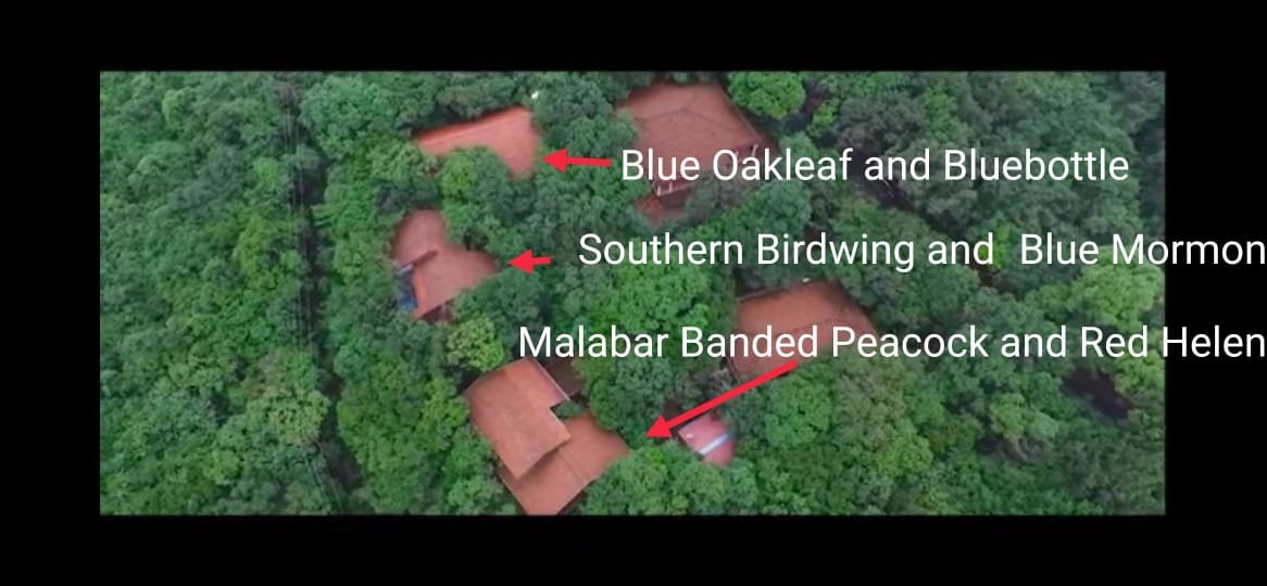 Whistling Woods | Rainforest Stay in the Western Ghats | Amboli, Sindhudurg 2 WhatsApp Image 2026-08-04 at 7.32.48 PM (2)